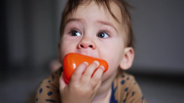 美しい甘い子供は口に玩具を持っている彼の腹の上に横たわっています おかしい赤ん坊は彼の歯茎を傷つけるために玩具を噛む クローズアップ — ストック動画