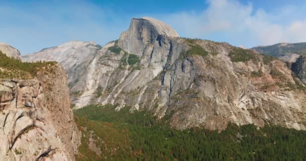 Forêt Pins Poussant Entre Les Montagnes Yosemite États Unis Énormes — Video