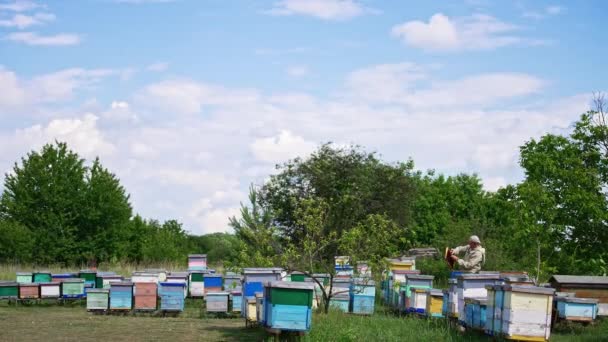 Venkovská Včelí Farma Zahradě Muž Speciální Uniformě Pracující Včelíně Zatažená — Stock video
