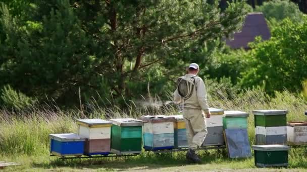 Erkek Arı Yetiştiricisi Kırsal Alanda Ahşap Kovanlar Boyunca Yürür Arı — Stok video
