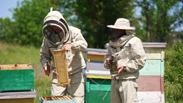 Včelaři Uniformách Ochranných Čepicích Pracují Včelíně Jeden Včelařů Drží Kuřáka — Stock video