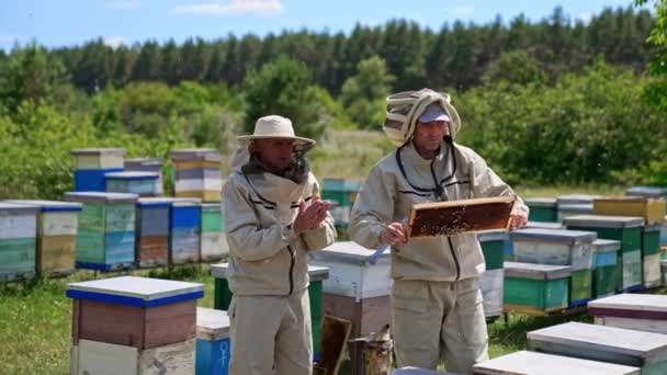 Опытные Пчеловоды Изучают Рамки Яркий Солнечный День Маленькая Сельская Пчеловодческая — стоковое видео