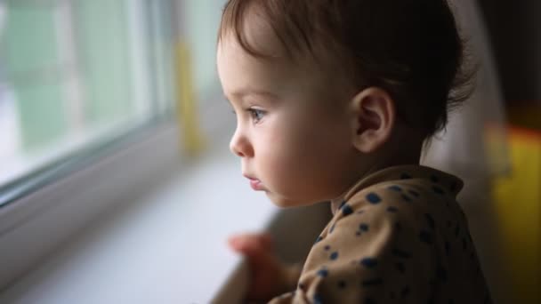 Adorable Toddler Boy Standing Windowsill Baby Looking Curiously Window Close — Stock Video