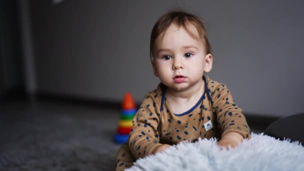Junge Braunen Anzug Spielt Drinnen Lustiges Fröhliches Kleinkind Nimmt Flauschiges — Stockvideo