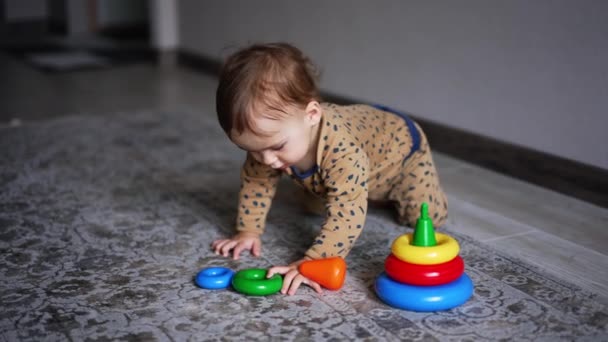 Schöne Kleine Junge Kriecht Einer Spielzeug Pyramide Auf Dem Boden — Stockvideo