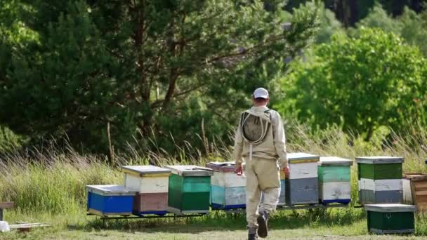 Male Apiculturist Walks Wooden Hives His Bee Farm Beekeeper Choosing — Stock Video