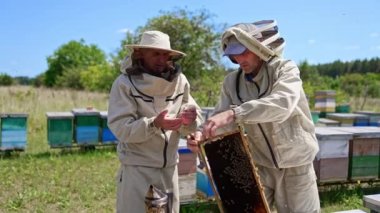 Yaşlı arıcılar propolis 'i çerçevelerden topluyor. Arı çiftçileri yaz mevsiminde kırsal alanda çalışıyor. Bulanık arkaplan.