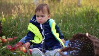 Sevimli beyaz bebek, yerde huzur içinde oturuyor. Etrafına dağılmış kırmızı elmalara dokunan sevimli bir çocuk. Bulanık arkaplan.