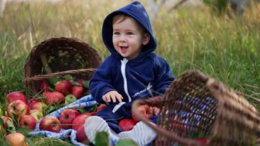 Kapüşonlu küçük çocuk etrafında elmalara bakarken seviniyor. Mutlu çocuk çimenlerin üzerinde oturmuş gülümsüyor. Etrafında kırmızı meyve var..
