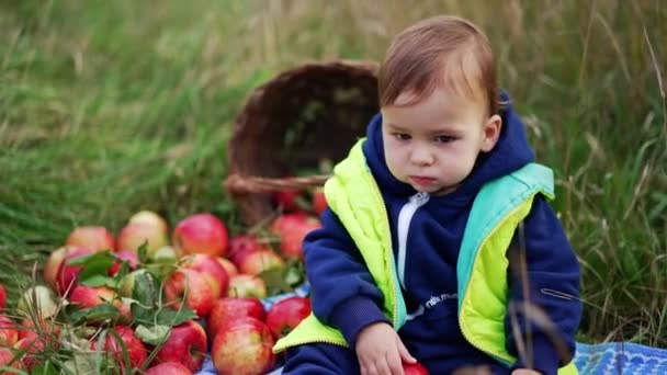 Lovely Toddler Warm Sport Suit Vest Sitting Grass Ripe Red — Stock Video