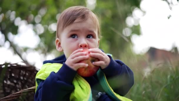 Kleine Peuter Probeert Een Grote Rode Appel Bijten Een Jongetje — Stockvideo