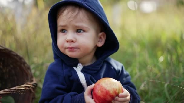 1歳の赤ちゃんが大きな赤いリンゴを噛もうとしています 地面に座って果物を食べる いい子だ 輝かしい自然の背景 — ストック動画