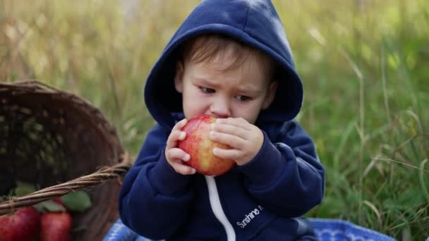 Gyönyörű Egy Éves Csuklyás Kisgyerek Aki Nagy Vörös Almát Eszik — Stock videók