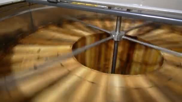 Szybka Rotacja Drewnianych Ram Miodu Wirówce Maszynie Urządzenia Elektryczne Zbioru — Wideo stockowe