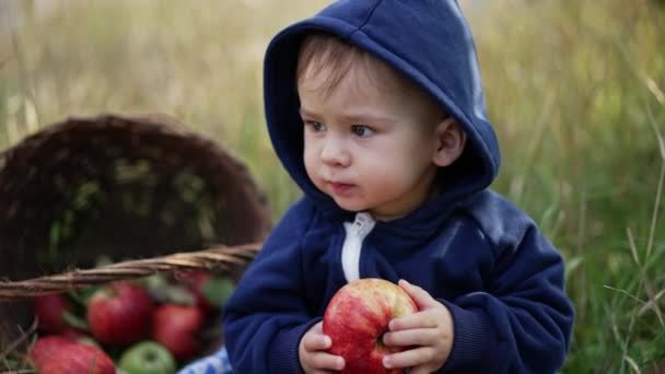 Kicsi Fiú Kék Kapucnis Pulcsiban Kezében Nagy Vörös Almával Kisbaba — Stock videók