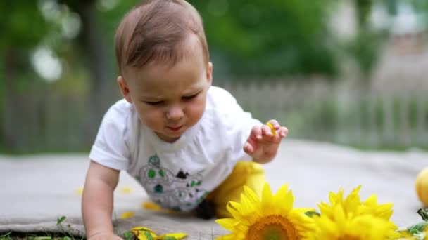 Bebek Önündeki Ayçiçeklerine Dokunuyor Kareli Karede Sürünen Sevimli Meraklı Çocuk — Stok video