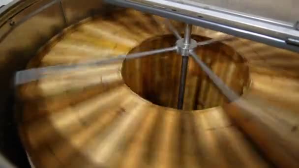 Δουλεύει Μηχανή Εξαγωγής Μελιού Κουφώματα Μελιού Περιστρέφονται Στη Συσκευή Για — Αρχείο Βίντεο