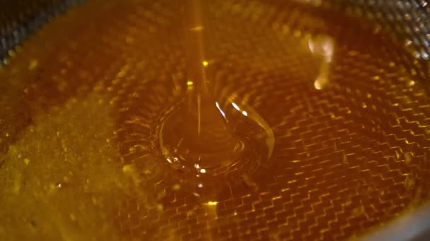 抽出された蜂蜜がボウルに流れ込む クローズアップ ふるいを通してフィルタリングする健康な有機製品 — ストック動画