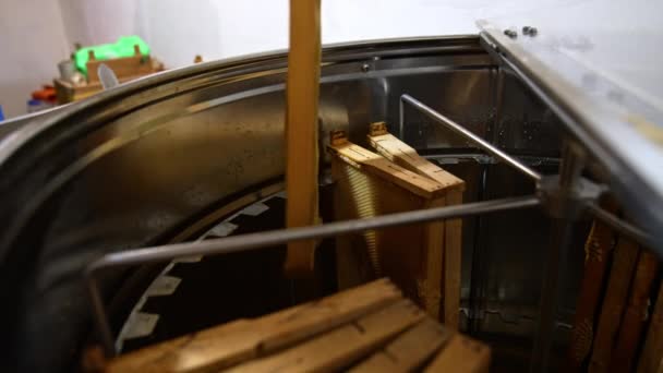 Wypełnianie Elektrycznej Maszyny Ekstrakcji Miodu Drewnianymi Ramami Mężczyzna Ręce Umieścić — Wideo stockowe