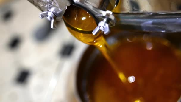 機械の口から流れ出る新しく抽出された琥珀の蜂蜜 バケツは有機製品で満たされています クローズアップ トップビュー — ストック動画
