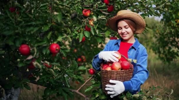 Skördar Äppelgröda Vacker Solig Dag Ung Leende Dam Hatt Och — Stockvideo