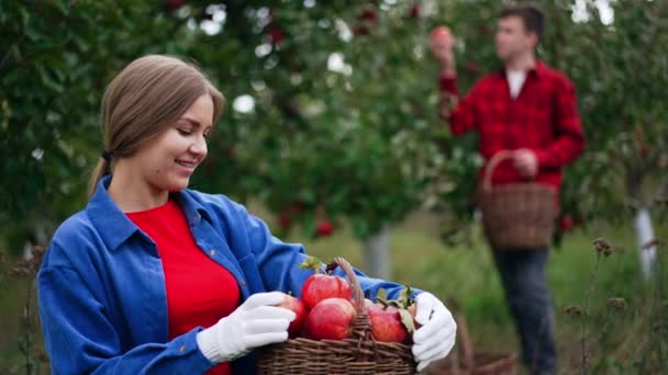 Női Farmer Nézi Vörös Almát Frissen Szedett Kertben Egy Férfi — Stock videók