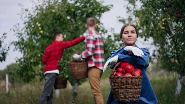 庭に座っている青いシャツの女性は 膝の上にリンゴのバスケットを持っています 男と少年はぼろぼろの背景にある木から果実を選ぶ — ストック動画