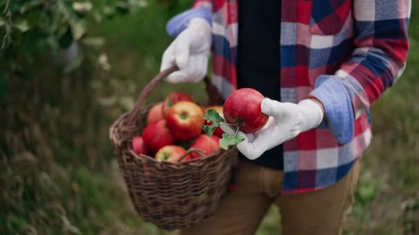 Hombre Reconocido Con Camisa Cuadros Sosteniendo Una Canasta Manzanas Hombre — Vídeo de stock