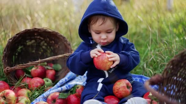 Ładne Słodkie Dziecko Jedzące Czerwone Jabłko Siedzące Trawie Ogrodzie Uroczy — Wideo stockowe