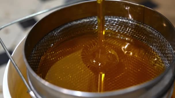 金属のふるいに注ぐ有機新鮮な蜂蜜 抽出直後に蜂蜜を濾過する クローズアップ — ストック動画