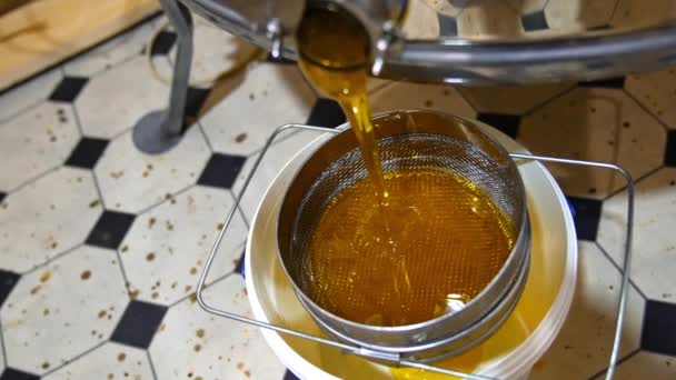 Verse Honing Lekken Uit Kraan Van Honing Extractie Machine Het — Stockvideo