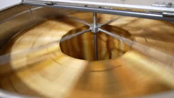 Quick Rotation Honey Frames Centrifuge Wooden Frames Honey Combs Spin — Stock Video