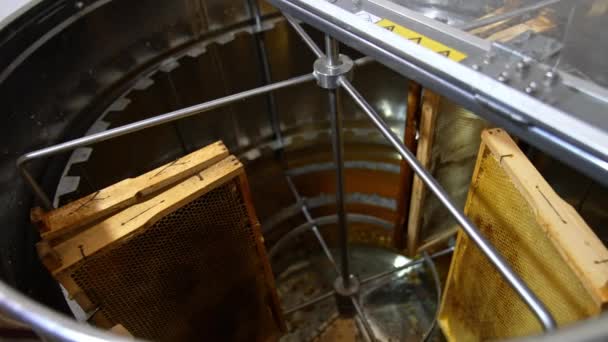 遠心分離機に木製の蜂蜜フレームをロードする養蜂家 蜂蜜抽出プロセスのための準備 トップビュー — ストック動画