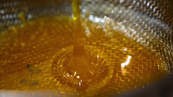Miel Amarilla Gruesa Que Fluye Tamiz Metálico Producto Orgánico Recién — Vídeos de Stock