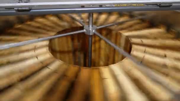 電気遠心装置の蜂蜜抽出のプロセス 多くの木製フレームは細胞から蜂蜜を取るために回転します — ストック動画