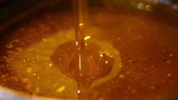 Κεχριμπαρένιο Μέλι Ρέει Στο Πιάτο Όμορφο Φρέσκο Οργανικό Προϊόν Που — Αρχείο Βίντεο