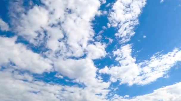 Gök Mavisi Ufuk Çizgisinde Hareket Eden Yumuşak Beyaz Bulutlar Güneşli — Stok video