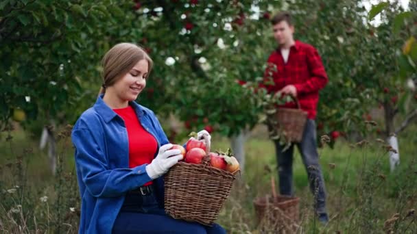 Female Farmer Sitting Garden Holds Full Basket Red Apples Lady — Stock Video