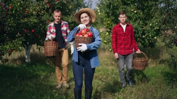 Щаслива Сім Саду Яблук Збирає Урожай Фруктів Жінка Чоловік Хлопчик — стокове відео