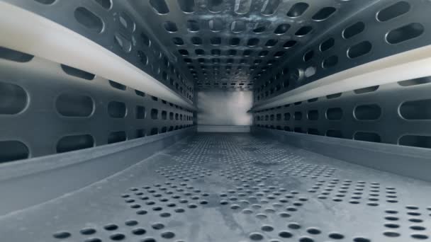 Menempatkan Instrumen Dikemas Dalam Kantong Plastik Mesin Sterilizer Melihat Interior — Stok Video