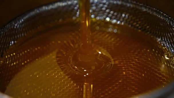 美丽的液体新鲜提取蜂蜜流淌在筛子上 靠近点在蚜虫中采集的有机产品 — 图库视频影像