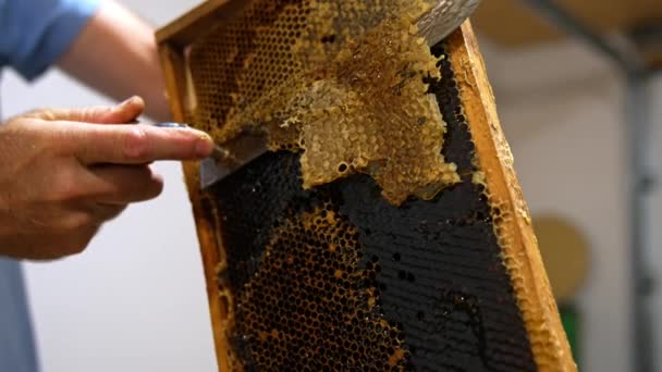 Manliga Händer Använder Kniven För Att Avslöja Förseglade Honeycombs Apiculturist — Stockvideo