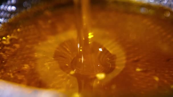 Αφιλτράριστο Πρόσφατα Εκχυλισμένο Μέλι Που Χύνεται Πάνω Μεταλλικό Κόσκινο Κλείσε — Αρχείο Βίντεο