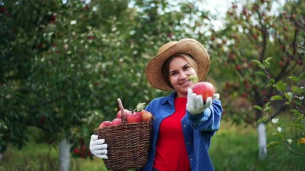 Happy Female Farmer Holding Basket Ripe Apples Smiling Lady Offering — Stock Video