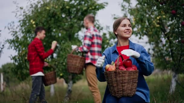 ブロンドの女性はリンゴの完全なバスケットを選んで休んでいます 男と少年はぼろぼろの背景にある木から果実を集める — ストック動画