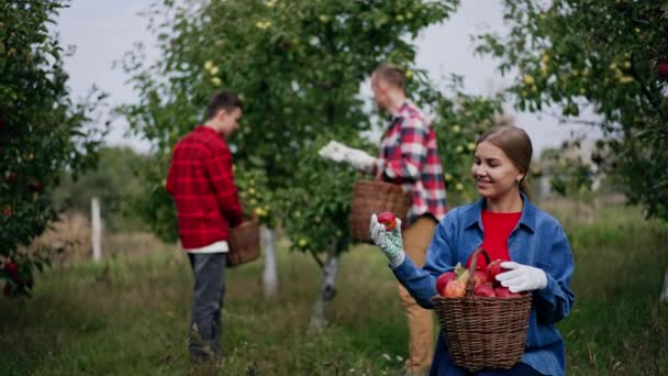 果物のバスケットで庭に座っている赤いリンゴの収穫を楽しむ笑顔の女性 男の子と男は背景に木から緑のリンゴを集める — ストック動画