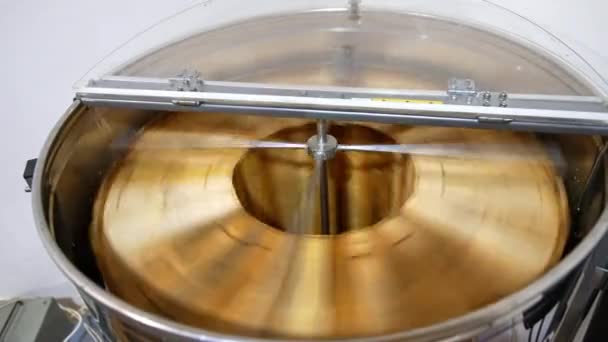 Αυτόματη Μηχανή Εξαγωγής Μελιού Περιστρεφόμενη Πολλά Πλαίσια Ταυτόχρονα Συσκευή Τύπου — Αρχείο Βίντεο