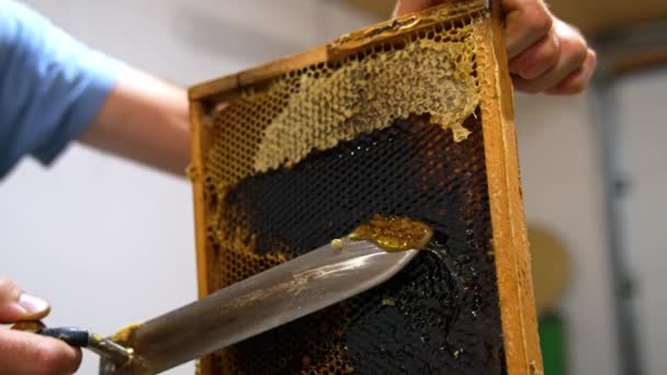 電気ナイフを使用して蜂蜜のコムからのカバーの男のカット 機械の蜂蜜抽出のためのフレームを準備する — ストック動画