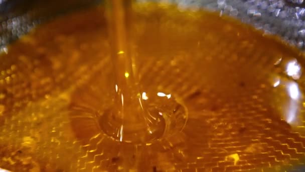 Beautiful Fresh Healthy Organic Honey Flowing Sieve Liquid Just Extracted — Stock Video
