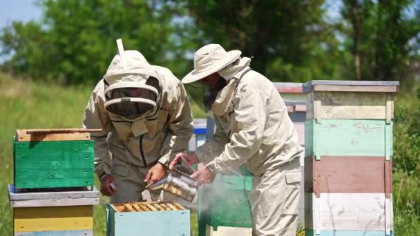 晴れた夏の日にアカリヤで働く保護服や帽子の養蜂家 一人の男は煙で蜂をスプレーし もう一人はハイブからフレームを引っ張る — ストック動画